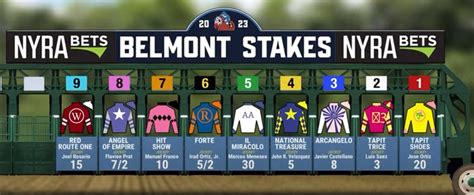 Beginner’s Guide to the Belmont Stakes .